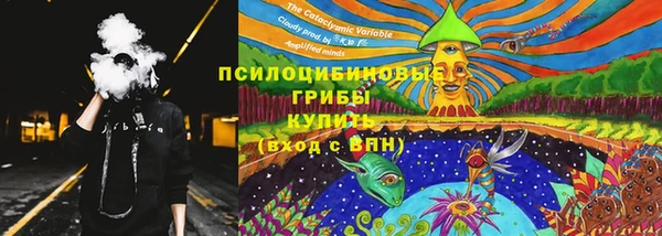 прущие грибы Пересвет