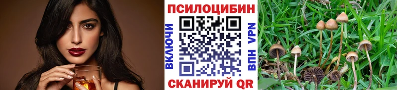 Псилоцибиновые грибы Magic Shrooms  как найти закладки  MEGA вход  Верещагино 